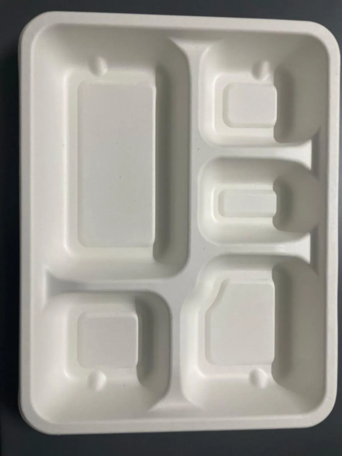 Rectangular Meal Tray 5 CP 